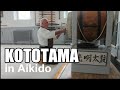 Kototama in Aikido, Terry Ezra Shihan