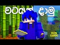 අලුත් පැති ගොඩක් | Minecraft Biomes Explained | Sinhala