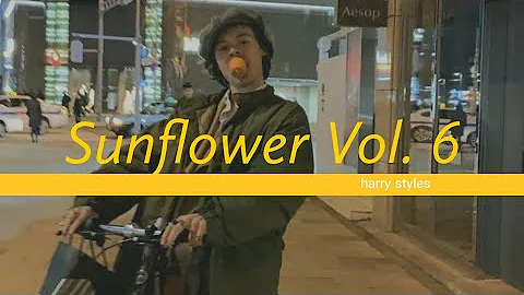 🌻 Sunflower Vol. 6 - Harry Styles //lyric video