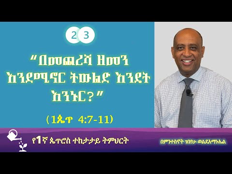 ቪዲዮ: ንቦች እንዴት እንደሚኖሩ