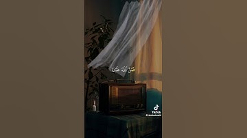تلاوه هادئه من القارئ الشيخ محمد صديق المنشاوي ما تيسر من سوره الطور الآيات 26-27 ♥️🇵🇸♥️