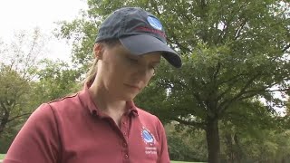 National Weather Service Surveying the Upstate after rainy weekend