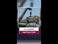 تفاقم المخاوف الأوروبية بعد نشر صواريخ أوريشنيك وإسكندر- إم وكينجال خلال التدريبات