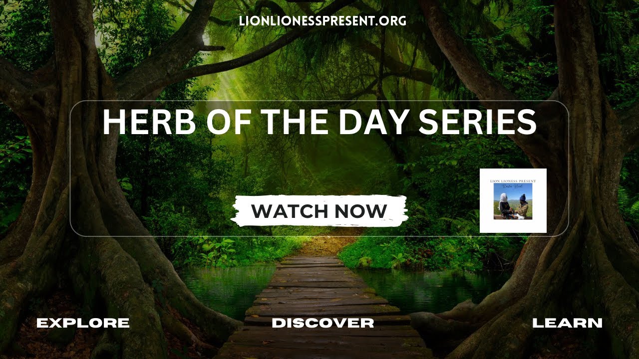 Red raspberry leaf benefits