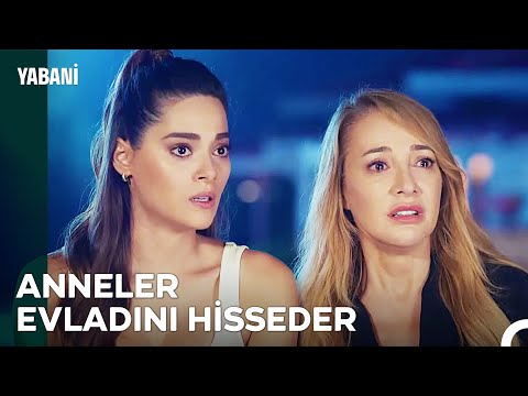 Kalbin İnanmak İstediğine, Akıl Mani Olurmuş -  Yabani