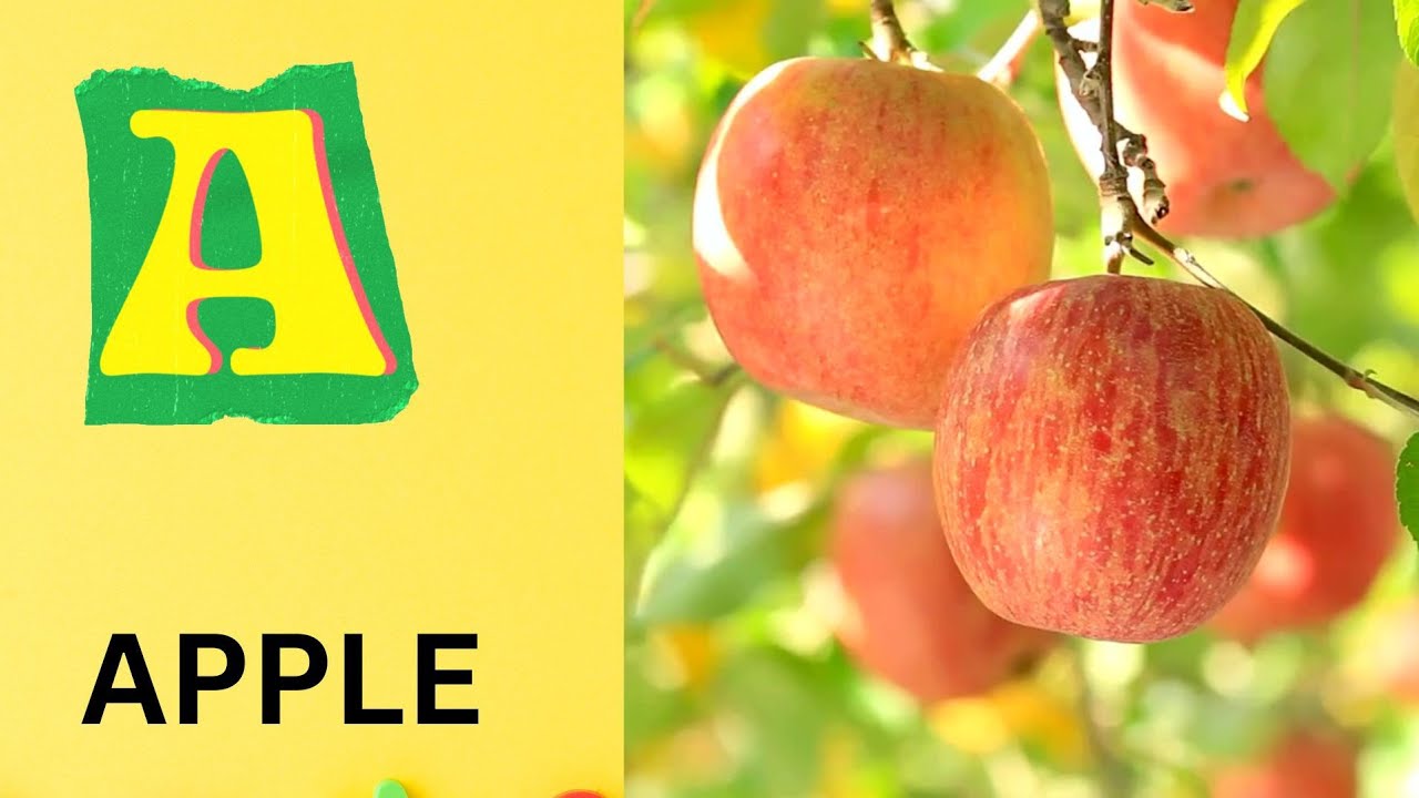 ABC Phonics Song | Alphabet letter sounds | ABC learning for toddlers | Education ABC Nursery Rhymes