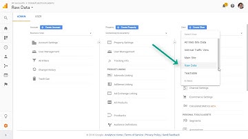 Raw Data View in Google Analytics