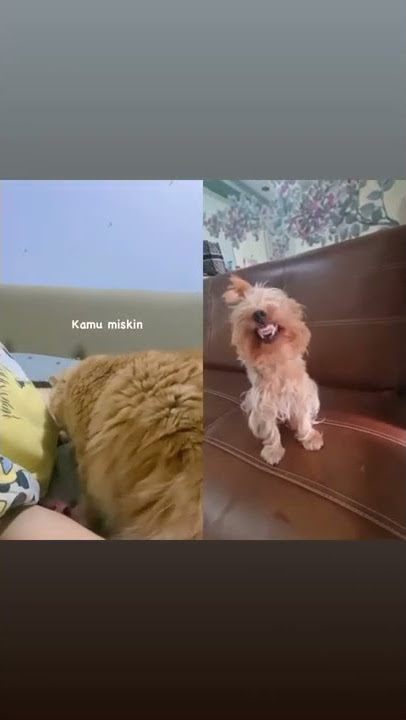 bangun..kamu miskin, ayo kerjaa..