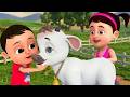 Gaiya Meri Gaiya | गैया मेरी गैया, Machli Jal Ki Rani Hai + 5 More Popular Rhymes for Kids
