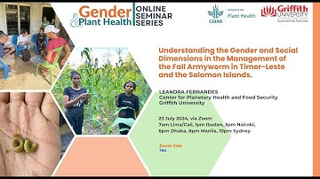Gender and social dimensions in fall armyworm management in Timor-Leste and the Solomon Islands
