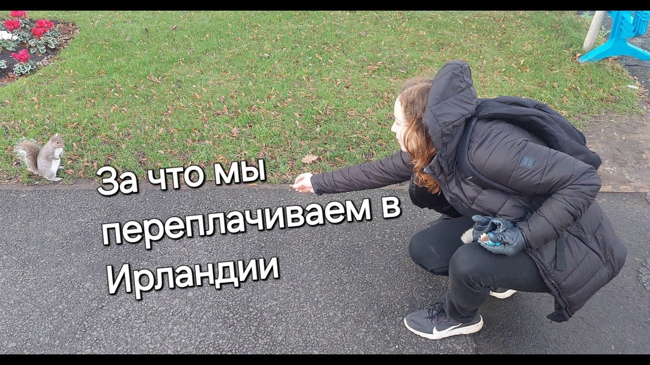 8 вещей, за которые в Ирландии надо платить (а в других странах не нет)