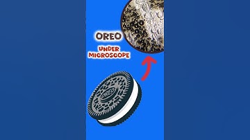 OREO Cookies under microscope 🤯 | #closeup #shorts #biscuit #zoom #cookie