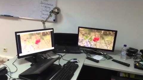 Solid UDP multicast on ALI