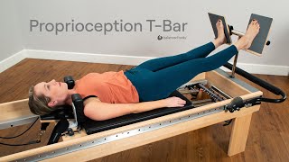 Proprioception T-Bar Introduction