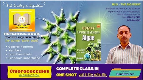 Hydrodictyon Algae - Chlorococcales | Reference Book - One Shot Class for Assistant Professor Exam