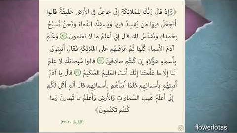 سورة البقرة من 30 الى 33