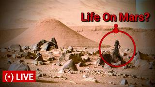 NASA's Mars Rover Capture Most Intriguing Shocking 360°Footage Near Santa Cruz Hill -Curiosity Life