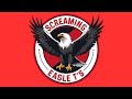 Screaming Eagle Custom T-Shirts - Any image. Any design. Any reason.