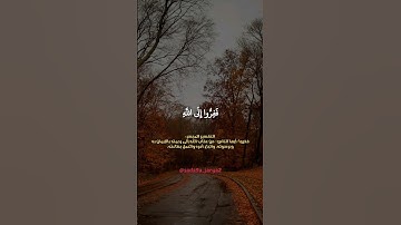 ففروا إلى الله ❤️ #سورة_الذاريات #إسلام_صبحي #تلاوة_خاشعة #صوت_جميل #قرآن_كريم #الجزائر #دعم #دعاء
