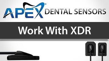 Apex Dental Sensors Work With XDR Imaging Software