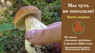 видео: Мы чуть не опоздали!  картинка: Мы чуть не опоздали!