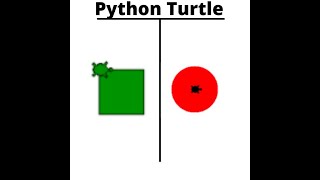 how to draw a square and circle in python in turtle graphics
