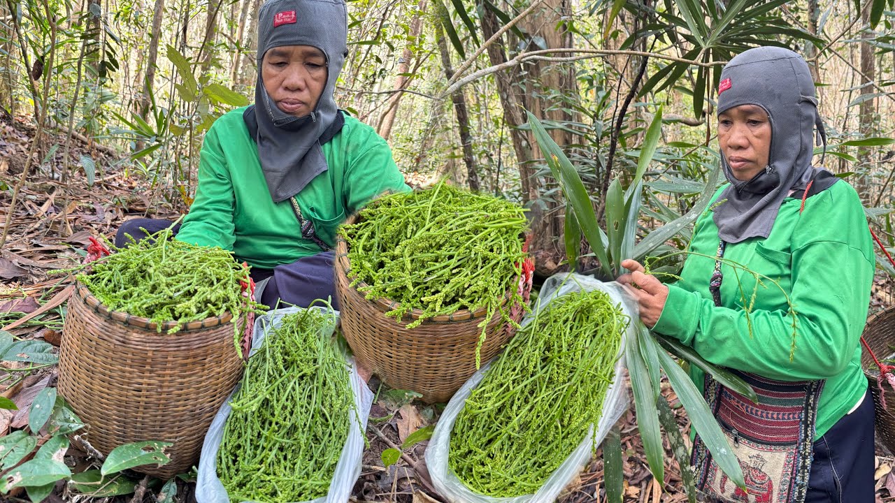 เก็บดอกคอนแคนคนั้งสุดท้ายของปี!!หมานเกินคาด?ยอดสวยๆยาวๆเต็มตร้า 1/3/69