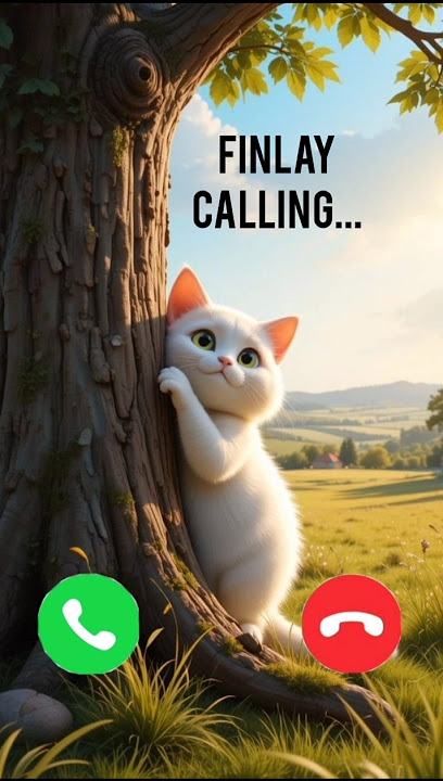 Finlay calling 🤙✨ #ringtone #viral #calling #trending #youtubeshorts #youtube #kittens #foryou #best