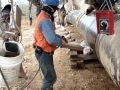 PIPELINE WELDER FROM COLOMBIA IN PERU LNG 2