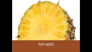 Starting out with Java - 2.14 Male and Female Percentages - control structures