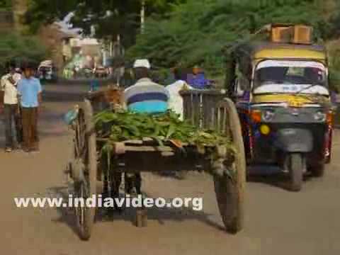 Bullock cart Bijapur City Karnataka