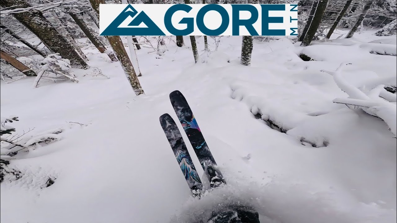 Some Dust on Crust Tree Skiing