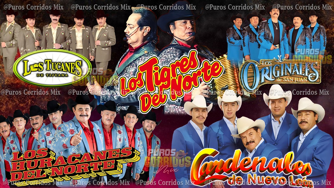 Grupo Laberinto, Cardenales de Nuevo León, Los Tigres Del Norte, Los Tucanes,...y Mas - Corridos Mix