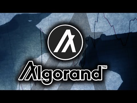 Will ALGORAND (ALGO) Defend $0.25!?? Algorand ALGO Price Analysis & Updates