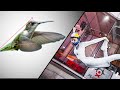 What Can Hummingbirds Teach An Indoor Skydiver?