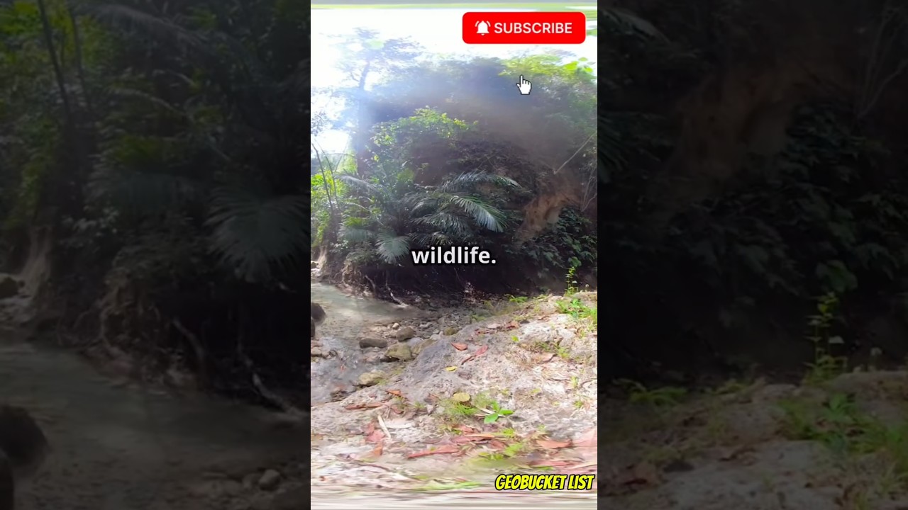 "Google Maps Won’t Take You Here… and This is Why 🌴🚫" 