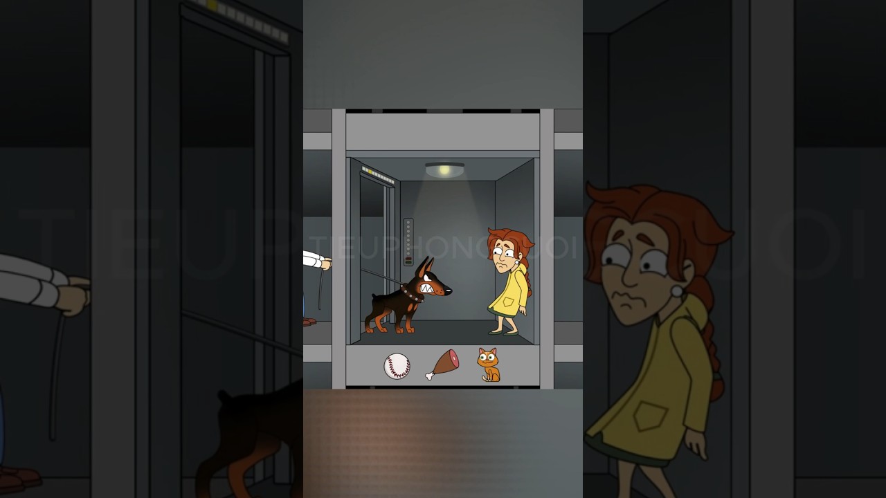 🍀 Top Puzzle Games : Homescapes 🧩 