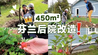 【后院改造VLOG】改造我们在芬兰的450平超大后院!后院变菜园!种了哪些果树和蔬菜?体会丰收的喜悦!!!