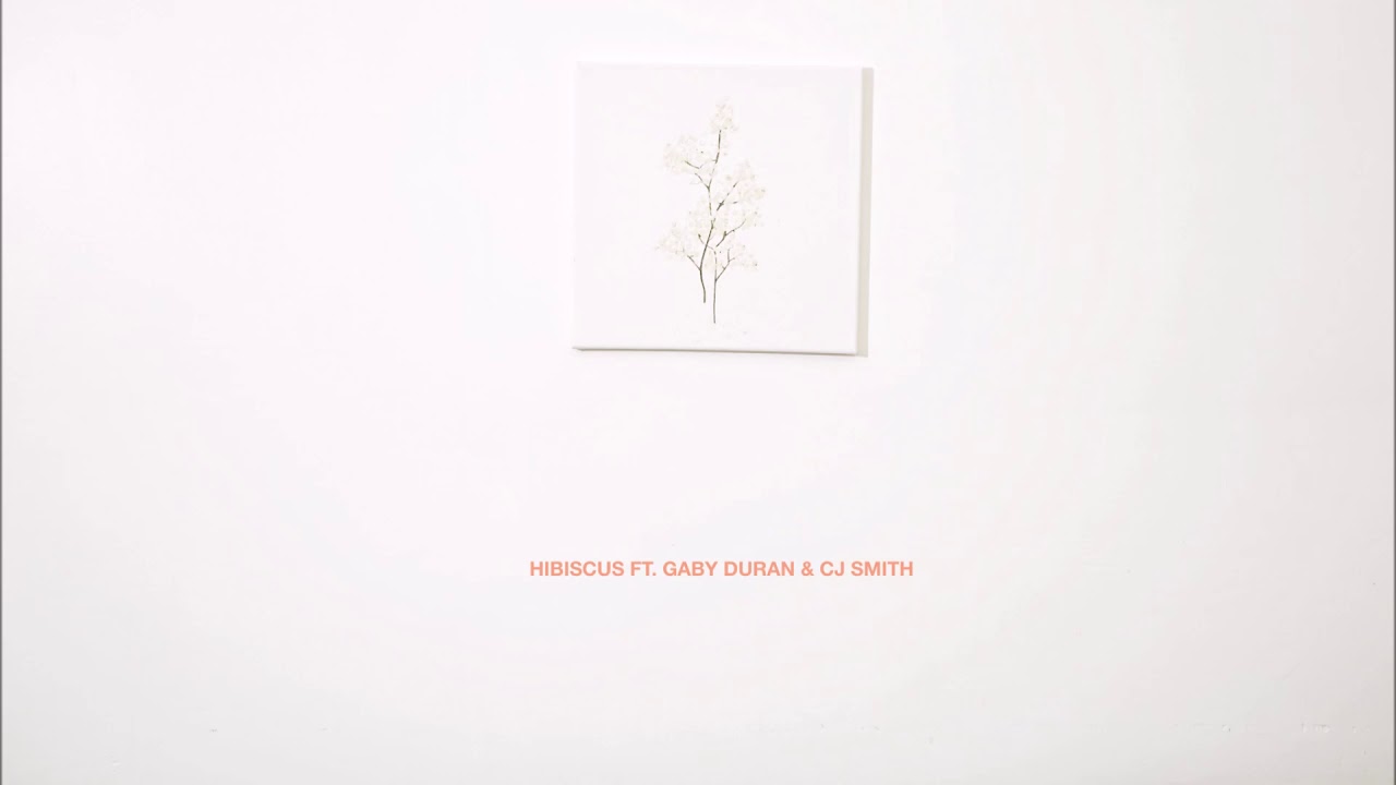 Asher Roth feat. Gaby Duran & CJ Smith - "Hibiscus" OFFICIAL VERSION
