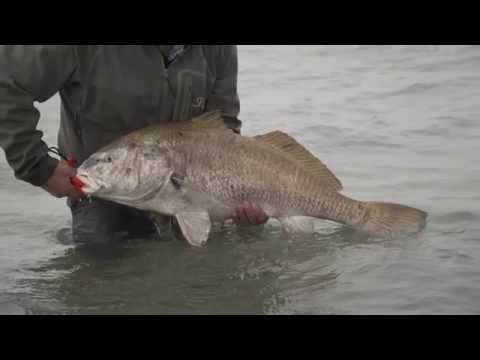 JP Goes Surf Fishing For Black Drum
