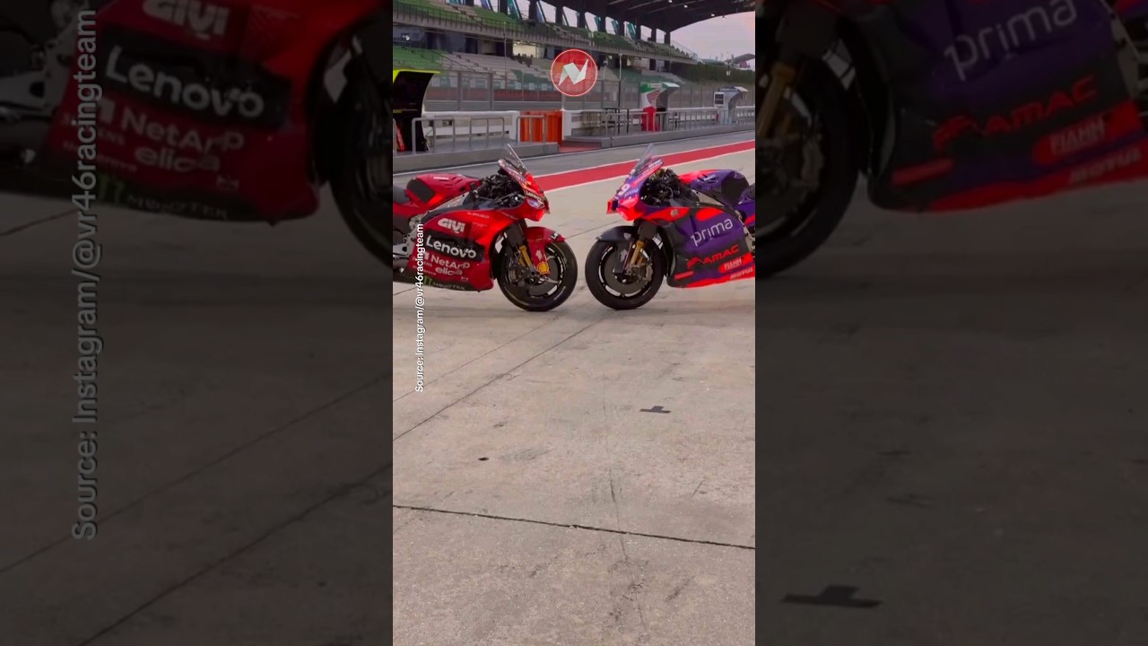 Fierce Battle of Pecco Vs Martin | 