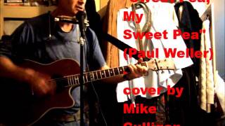 Video thumbnail of "Sweet Pea, My Sweet Pea (Paul Weller - cover) - Mike Culligan"