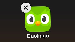 When You Delete Duolingo... screenshot 3