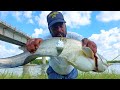 Fishing video | Wallago Attu catfish Fishing | Hook Techniques | Renig water fishing | River Fishing