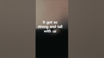 Thumbnail of Vincent Lima, Fair To You (Lyrics - Chorus)