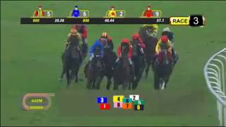 [新加坡賽馬] 20171126 第3場：特索羅