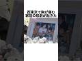 聞き取られなかった助けの声――西東京の家庭悲劇、その裏にある真実#tiktokでニュース#事件#事故#映画