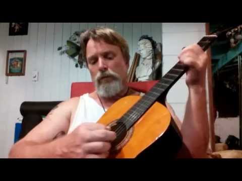 Helvegen by Wardruna Guitar Cover