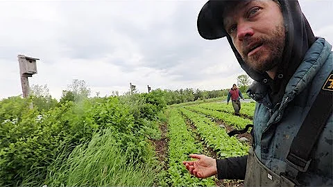 How Market Gardner, JM Fortier, Farms 8 Acres (Wit...