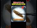奇跡の再生能力生物の正体